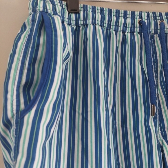 Beach Bros Blue White Green Swim Trunks Stripped Men's Medium - Picture 9 of 13